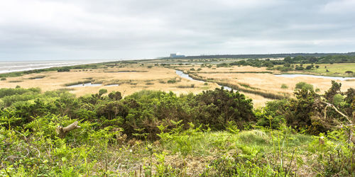 Scenic view of field against cloudy sky