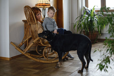 Mother with child and dog at home on rocking chair having fun time together. parent with kid