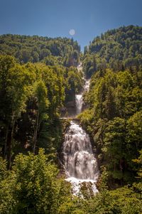 Scenic view of waterfall against trees in forest