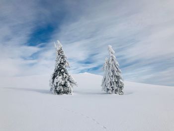 Scenic view of snow covered land against sky