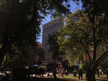 Trees in city against clear sky