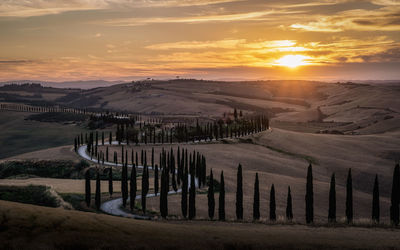 Tuscan sunset