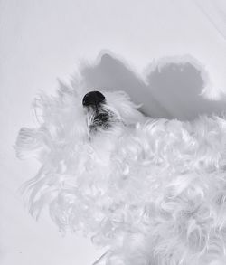 High angle view of woman in snow