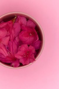 Directly above shot of pink flowers in bowl