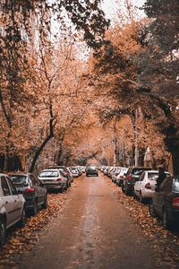 Cars on street in city during autumn