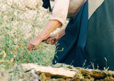 Close-up of man holding plant