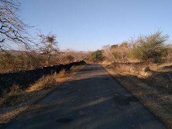 Road amidst trees against clear sky