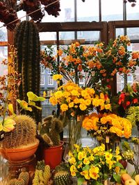 Potted plants in greenhouse