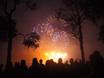 Silhouette people watching firework display at night