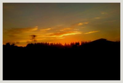 Silhouette of trees at sunset