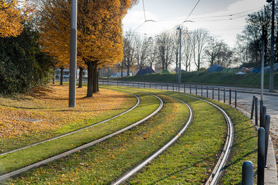 Railroad tracks by trees during autumn