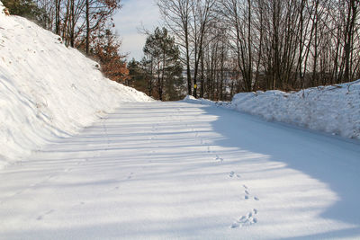 Close-up of snow covered landscape