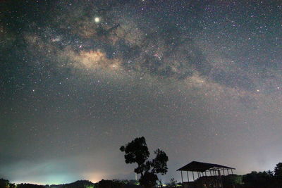 Low angle view of trees against sky at night