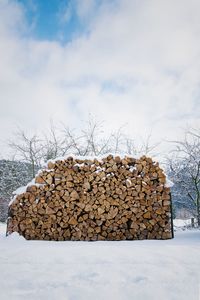 Stack of logs on field during winter