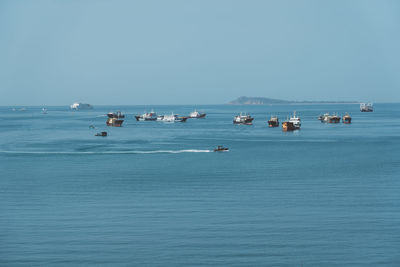 Sailboats in sea against clear sky