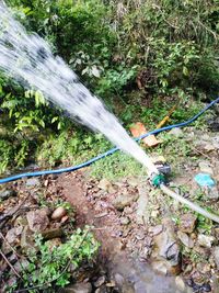 Blurred motion of waterfall in forest