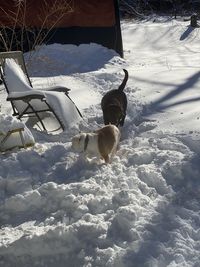 Man on snow covered mountain