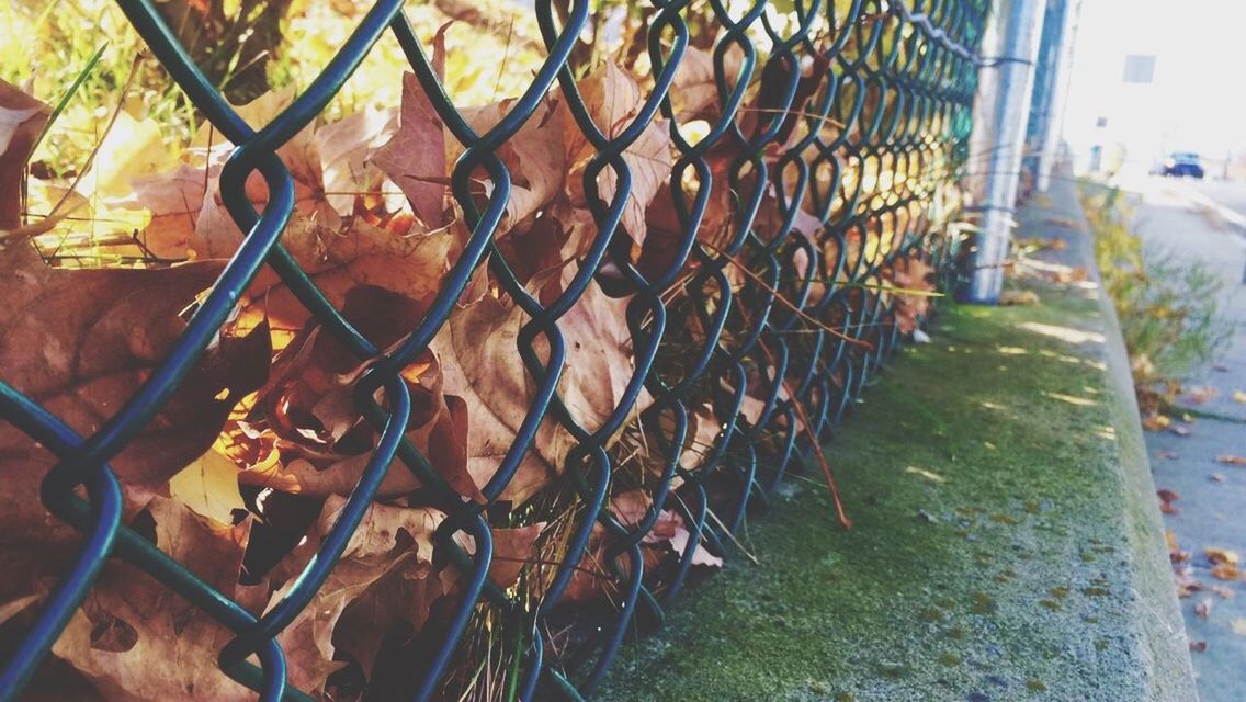 fence, metal, chainlink fence, protection, safety, security, transportation, metallic, day, gate, land vehicle, outdoors, no people, metal grate, bicycle, railing, sunlight, wall - building feature, mode of transport, built structure