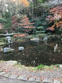 View of lake in park during autumn