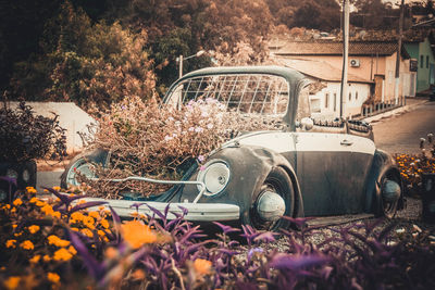 Plants and abandoned car on railroad track