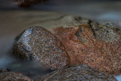 Close-up of rocks in lake