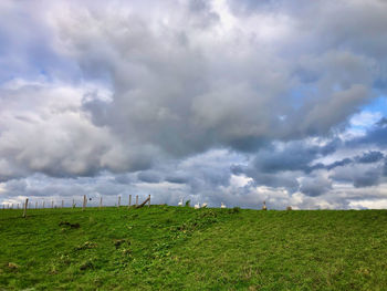 Scenic view of field against sky