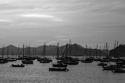 Boats in harbor