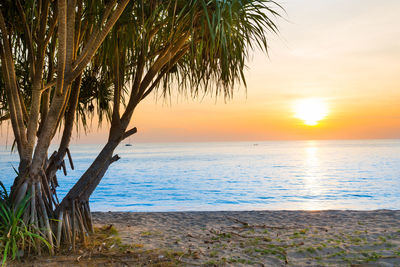 Scenic view of sea against sky during sunset