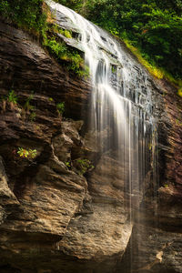 Scenic view of waterfall in forest