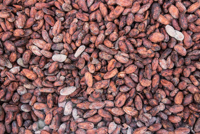 Full frame shot of cacao beans