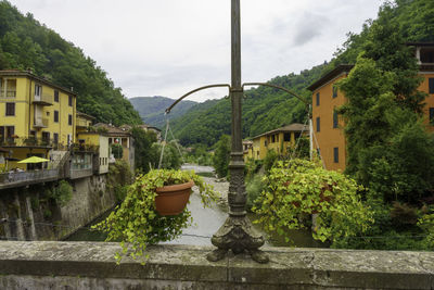 Trees and houses