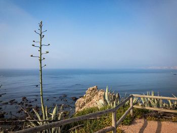 Scenic view of sea against clear sky