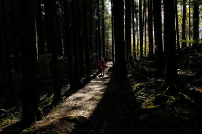 Mid distance of person walking on footpath amidst silhouette trees in forest