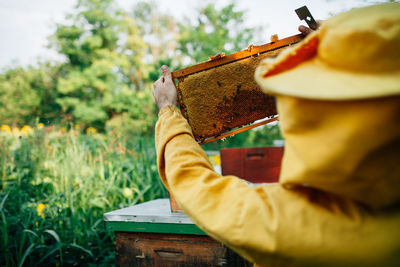 Close-up of man holding beehive against plants