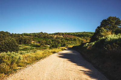 Road amidst trees against clear blue sky