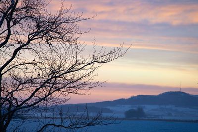 Silhouette bare tree by lake against sky during sunset