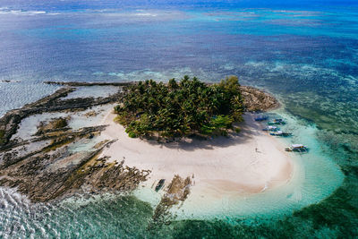 High angle view of plants on beach