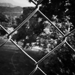 Close-up of chainlink fence