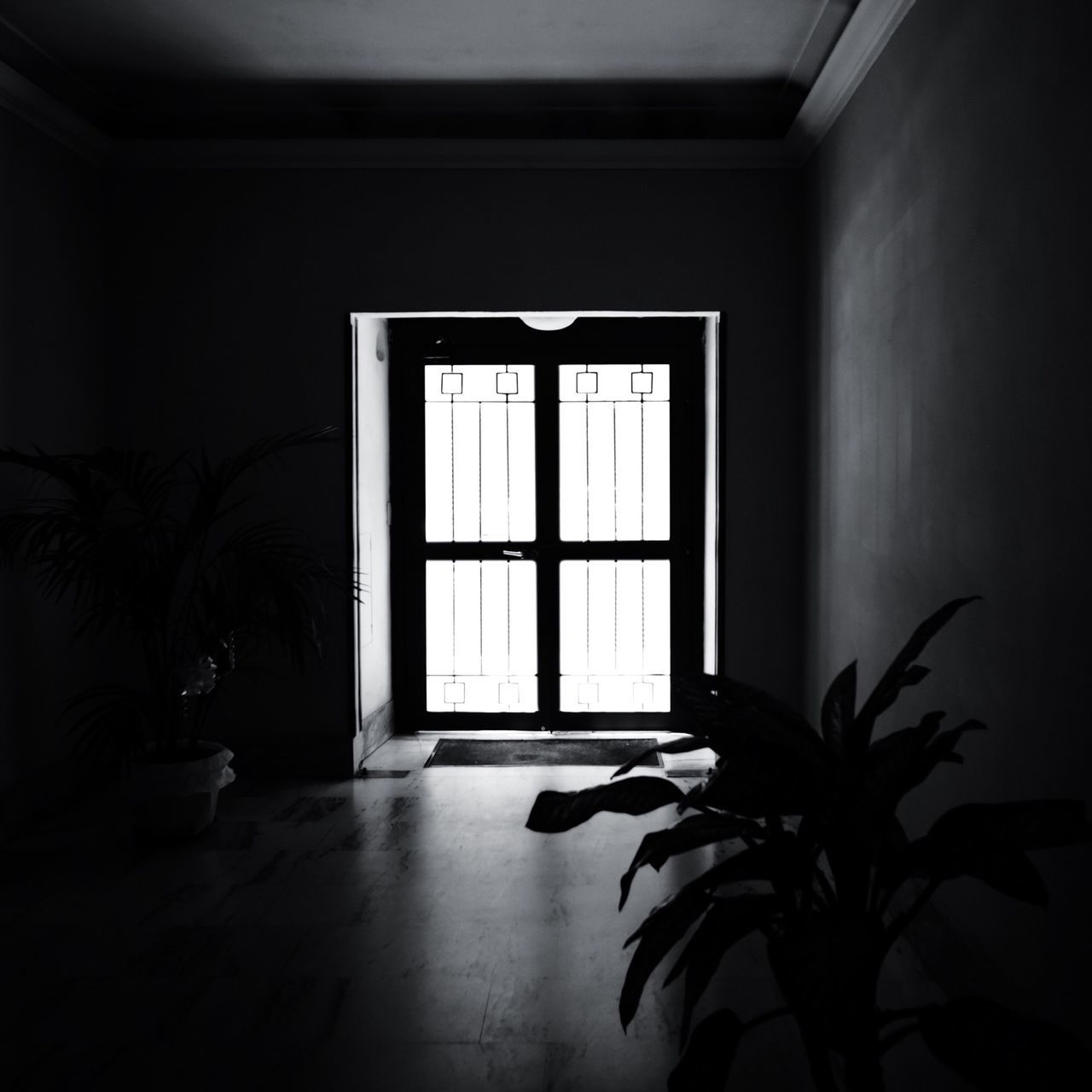indoors, window, home interior, house, built structure, architecture, door, sunlight, curtain, potted plant, plant, wall, absence, wall - building feature, no people, ceiling, day, glass - material, closed, transparent