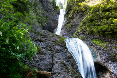 Scenic view of waterfall in forest