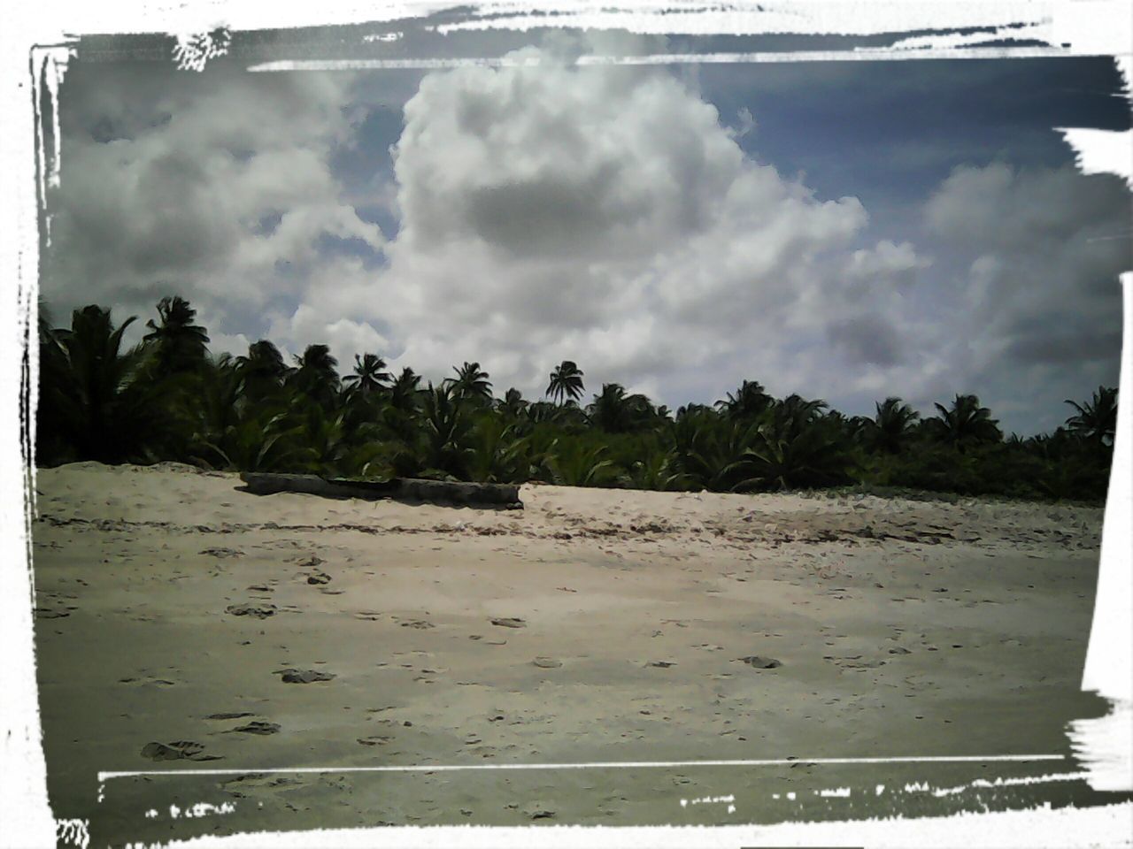 tree, beach, sky, cloud - sky, water, nature, sand, palm tree, outdoors, tranquil scene, scenics, beauty in nature, sea, day, no people, tranquility, vacations, power in nature