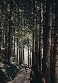 Rear view of tourists walking in forest