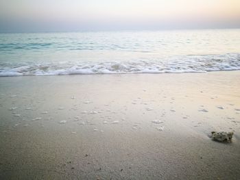 Scenic view of beach