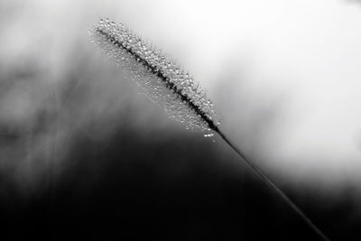 Close-up of snow against sky