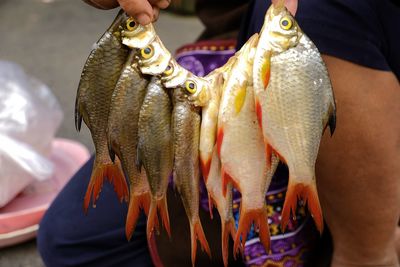 Midsection of woman holding fishes