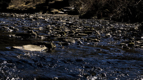 River flowing through rocks in forest