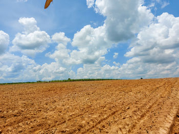 Scenic view of agricultural field against sky