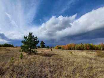 Autumn scenic view of field against sky