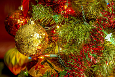 Close-up of christmas tree