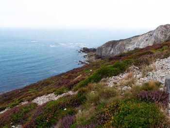 Scenic view of sea against clear sky